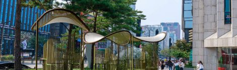 Mindful urban bamboo shelter